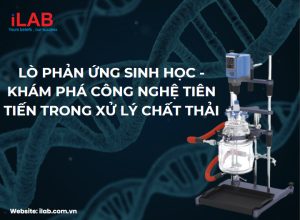 Lò phản ứng sinh học - Khám phá công nghệ tiên tiến trong xử lý chất thải